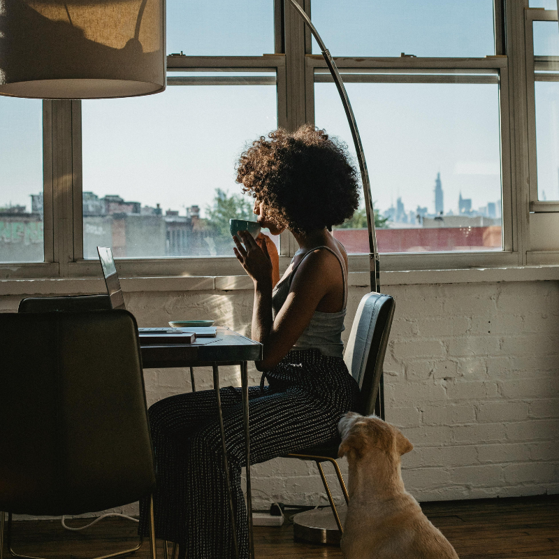 Como Iniciar e Prosperar no Mundo do Empreendedorismo.